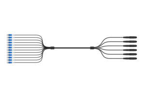 FT-24LDAMMN